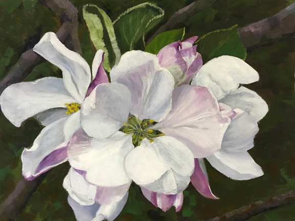 Blossom
